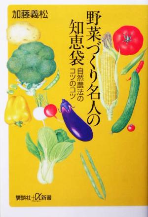 野菜づくり名人の知恵袋 自然農法のコツのコツ 講談社+α新書