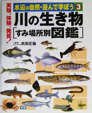 川の生き物 すみ場所別図鑑 水辺の自然・遊んで学ぼう3