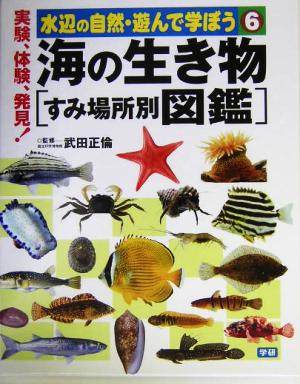 海の生き物 すみ場所別図鑑 水辺の自然・遊んで学ぼう6