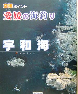 愛媛の海釣り 宇和海 空撮ポイント