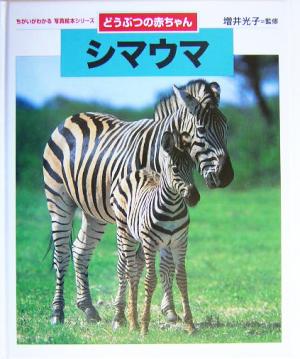 どうぶつの赤ちゃん シマウマ ちがいがわかる写真絵本シリーズ