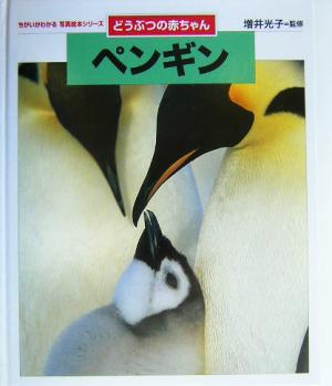 どうぶつの赤ちゃん ペンギンちがいがわかる写真絵本シリーズ
