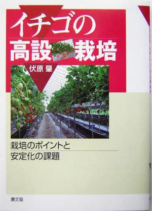 イチゴの高設栽培 栽培のポイントと安定化の課題