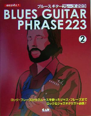 めざせ達人！ブルースギターフレーズ223(2) めざせ達人！