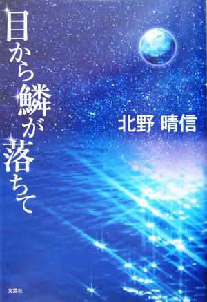 目から鱗が落ちて