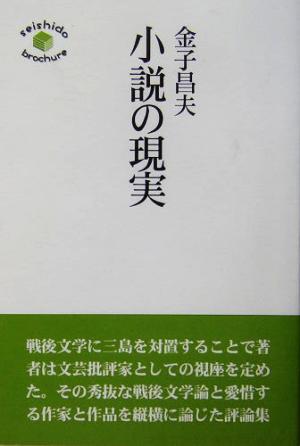 小説の現実Seishido brochure