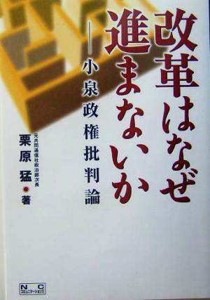 改革はなぜ進まないか 小泉政権批判論