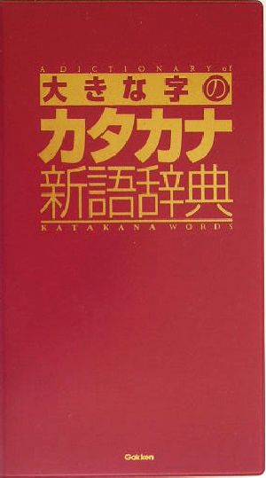 大きな字のカタカナ新語辞典