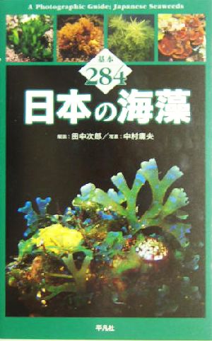 日本の海藻基本284