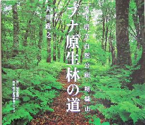 ブナ原生林の道 天生県立自然公園 籾糠山