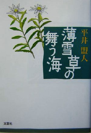 薄雪草の舞う海