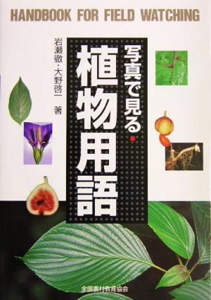 写真で見る植物用語野外観察ハンドブック