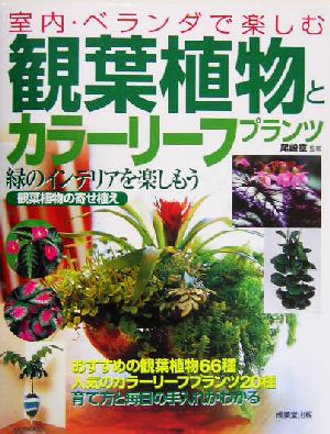 観葉植物とカラーリーフプランツ 室内・ベランダで楽しむ