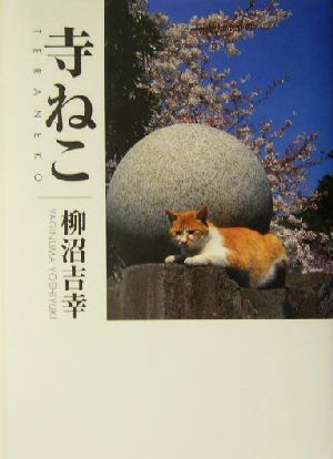 寺ねこ