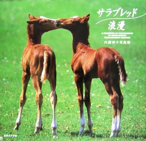 サラブレッド浪漫 内藤律子写真集