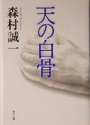 天の白骨 角川文庫