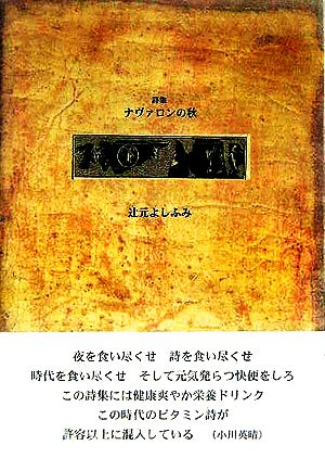 詩集 ナヴァロンの秋 21世紀詩人叢書