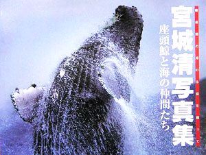 宮城清写真集「座頭鯨と海の仲間たち」