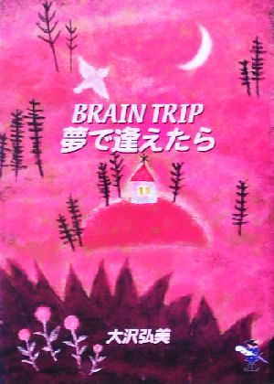 BRAIN TRIP 夢で逢えたら 新風舎文庫