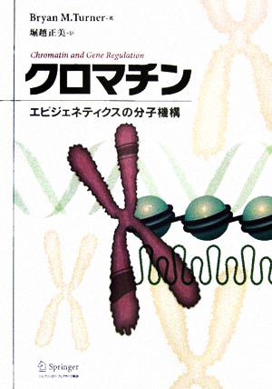 クロマチン エピジェネティクスの分子機構