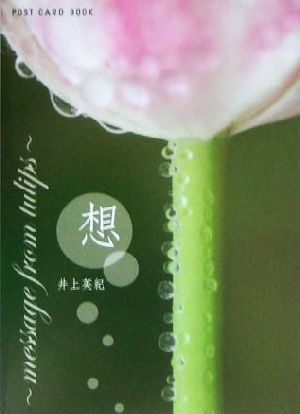 想 message from tulips 新風舎文庫POST CARD BOOK