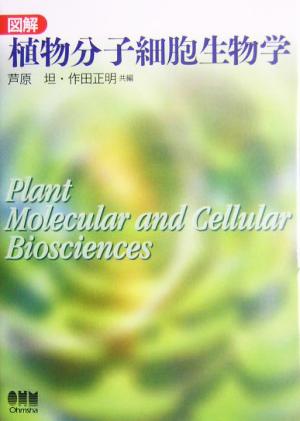 図解 植物分子細胞生物学