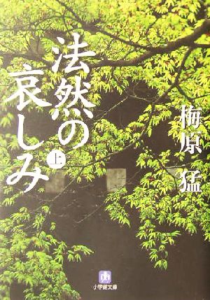 法然の哀しみ(上) 小学館文庫