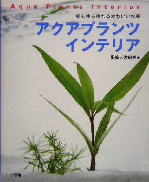 アクアプランツインテリア ゆらゆらゆれるかわいい水草