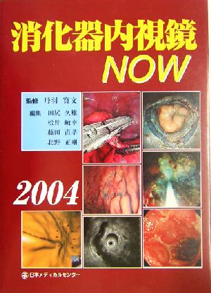 消化器内視鏡NOW(2004)