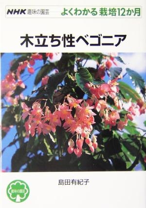 趣味の園芸 木立ち性ベゴニア よくわかる栽培12か月 NHK趣味の園芸