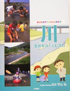 川 生命をはぐくむ流れ 身近な自然でふるさと学習4