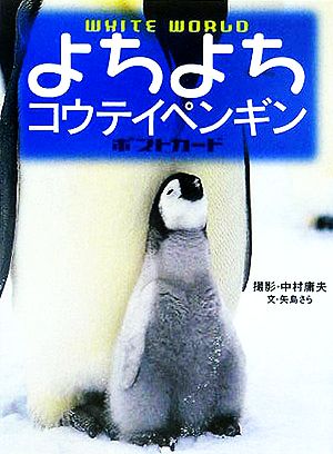 よちよちコウテイペンギンポストカード WHITE WORLD