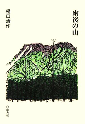 雨後の山