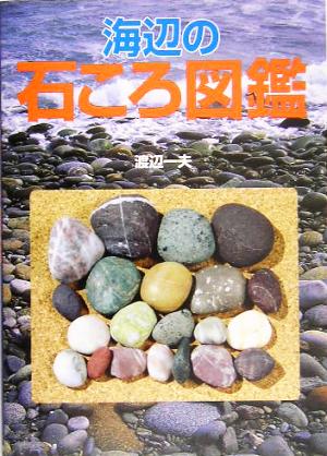 海辺の石ころ図鑑