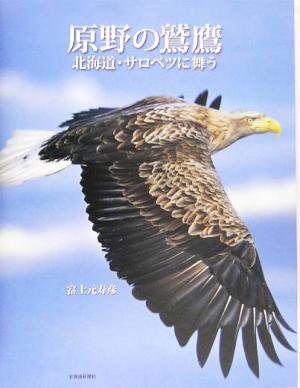 原野の鷲鷹 北海道・サロベツに舞う