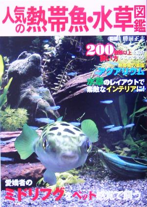 人気の熱帯魚・水草図鑑 200種類以上を紹介・飼い方もこれで安心