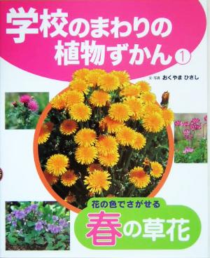 学校のまわりの植物ずかん(1)花の色でさがせる春の草花