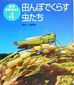 田んぼでくらす虫たち 虫から環境を考える4