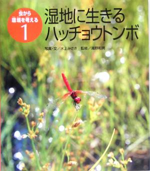 湿地に生きるハッチョウトンボ 虫から環境を考える1