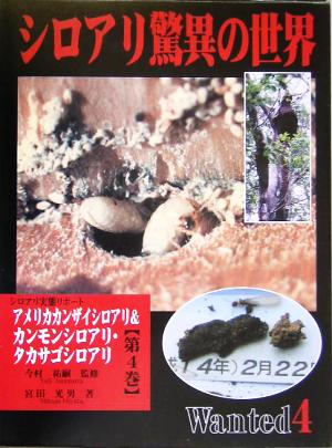 シロアリ驚異の世界(第4巻)アメリカカンザイシロアリ&カンモンシロアリ・タカサゴシロアリ-シロアリ実態リポート