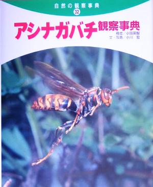 アシナガバチ観察事典自然の観察事典32