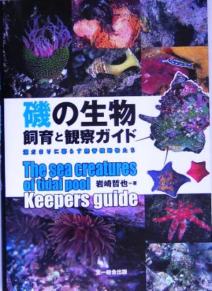 磯の生物飼育と観察ガイド 潮だまりに暮らす無脊椎動物たち
