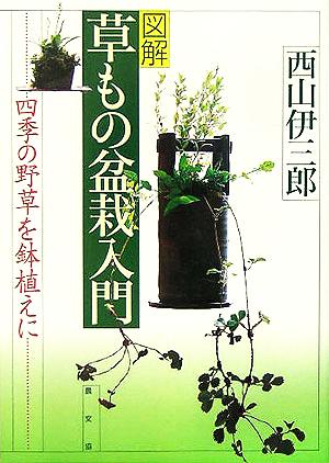 図解 草もの盆栽入門 四季の野草を鉢植えに