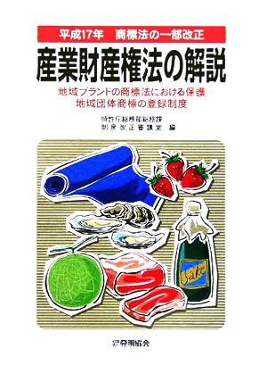 平成17年商標法の一部改正 産業財産権法の解説 地域ブランドの商標法における保護・地域団体商標の登録制度