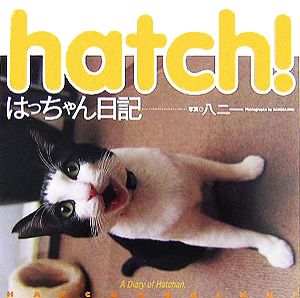 hatch！はっちゃん日記