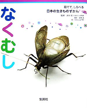 なくむし 育てて、しらべる日本の生きものずかん11