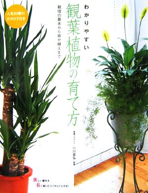 わかりやすい観葉植物の育て方 栽培の基本から寄せ植えまで