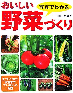 写真でわかるおいしい野菜づくり