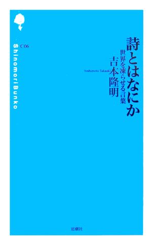 詩とはなにか 世界を凍らせる言葉 詩の森文庫