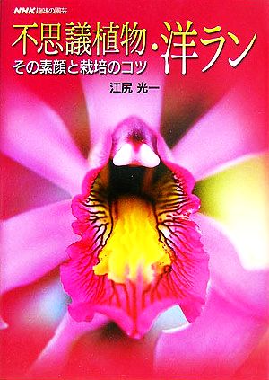 趣味の園芸 不思議植物・洋ラン その素顔と栽培のコツ NHK趣味の園芸
